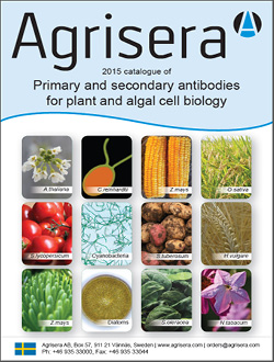 Agrisera Plant Antibody Catalog 2015 for download